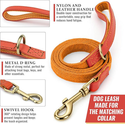 Dog Collar and Leash Set with Metal Quick Release Buckle, Adjustable, Breathable Nylon, Durable, Soft and Comfortable, No Pull for Walking and Training, Orange, M (12.5"-19.6")