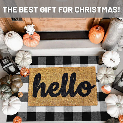 IOHOUZE Cotton Buffalo Plaid Check Rug Outdoor Doormat 27.5 x 43 Inches Washable Woven Outdoor Indoor Welcome Mats for Front Door/Farmhouse/Entryway/Home Entrance black and White Outdoor Rug