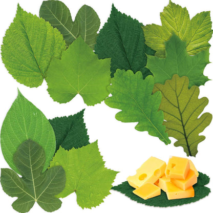 Tenceur 150 Pcs Parchment Paper Leaves 7.2 in Spring Cheese Papers Leaves Charcuterie Boards Spring Summer Parchments Sheet Decorative for Plate Table Festival Party Food Serving, 10 Styles