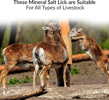 100% Natural Himalayan Rock Deer Salt Licking Block - Animal Licking Mineral Salt Block, Natural Feed Salts Bricks For Deer and Livestock Animals - 5 Lbs, 2x4x8 inch, Pack of 1
