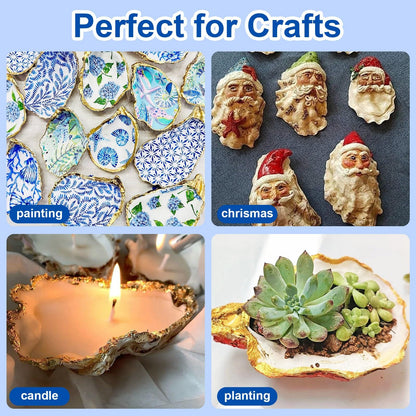 15PCS Natural Oyster Shells 4-5 in Uncarved Oyster Shells for Crafts, Hard Texture for DIY Arts Ornaments, Candle Holders, Coastal Decor & Art Projects