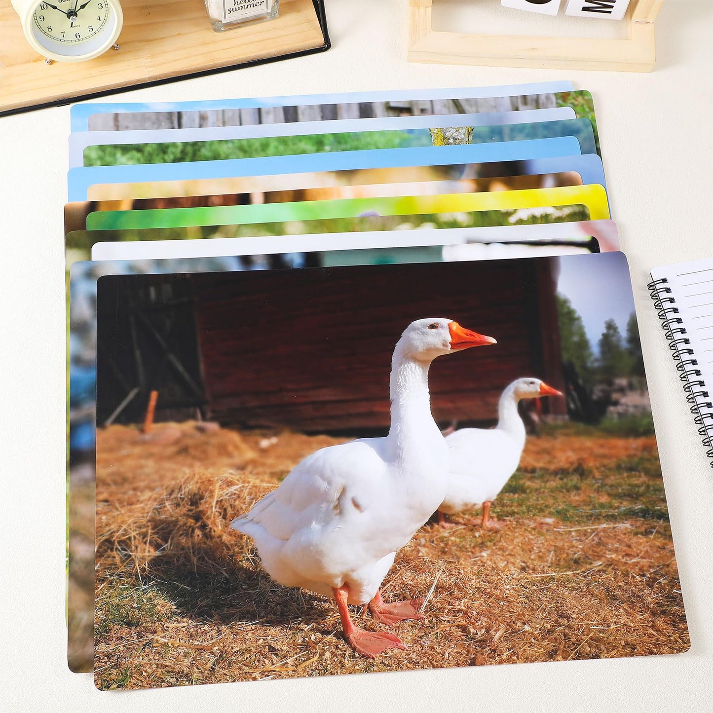 Motiskyy 12 Pcs Diversity Posters for Classroom Preschool Educational Learning Real Pictures for Daycare Home Multicultural Awareness(Farm Style)