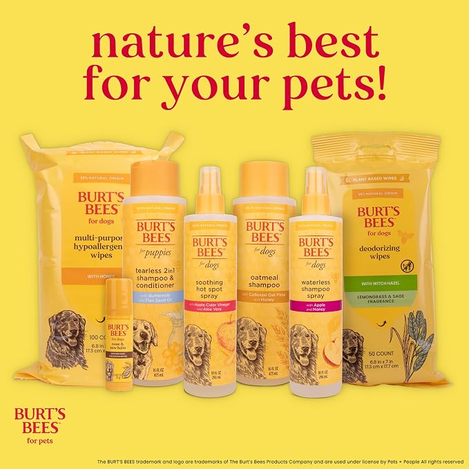 Burt's Bees for Pets Double Sided Pin and Hemp Bristle Dog Brush, Reduces Shedding, Removes Tangles and Loose Hair for All Coat Types, Sustainable Bamboo and Recycled Materials - 2 Pack