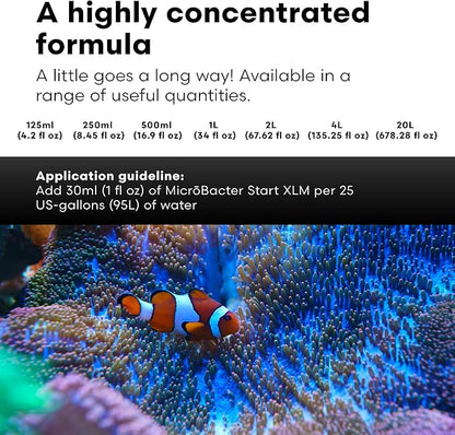 Brightwell Aquatics MicroBacter Start XLM - Concentrated Freshwater Nitrifying Bacteria - Quick Start Fish Tank Starter, Lift Microbe Levels & Water Filtering - Aquarium Water Treatments, 33.8 fl oz