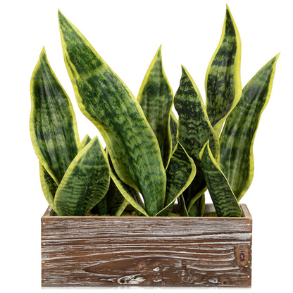 Fake Snake Plant in Rustic Wooden Planter 15.7 Inch Tall Artificial Sansevieria Trifasciata Plants Faux Potted Tropical Plant for Farmhouse Housewarming Home Office Modern Indoor Outdoor Decor