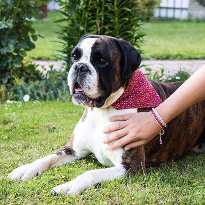 Pettsie Hemp Dog Bandana Collar & Matching Owner Friendship Bracelet | Soft & Durable Hemp, Removable Scarf, Matching Owner Friendship Bracelet, Gift-Ready Set, Red
