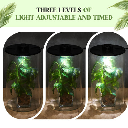 Maxdot Glass Plant Terrarium Kit with Light for Succulent, Moss, Miniature Gardening Landscape, Betta Fish Tank, Office Home Decoration, Plant Lovers Gifts(9.8 x 5.9 Inch)