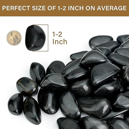 6lb Black River Rocks for Plants Indoor, 1-2Inch Pebbles for Vases Fillers, Decorative Gravel for Fish Tank, Natural Polished Stones for Succulent, Bonsai, Landscaping, Bird Baths