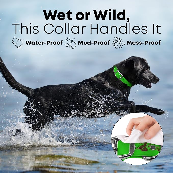 Regal Dog Products Large Light Green Dog Collar with Heavy Duty Double Buckle & D Ring | Vinyl Coated, Custom Fit, Adjustable Biothane Dog Collar Chew Resistant Waterproof Collar for Dogs