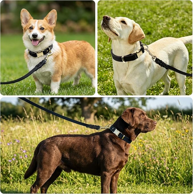 Leather Dog Collar and Leash Set, 6FT Heavy Duty Leather Training Leash with Adjustable Dog Collar, Soft and Durable Dogs Leashes and Collars Set for Small Medium Large Dogs (Black, M)