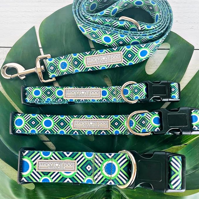 Lucky Love Dog - Easy Click Buckle Dog Collar with Leash Set Combo, Durable & Comfortable for Male & Female Dogs, Pet Collar for Medium Dogs, Secure Fit - Leo Combo, Medium