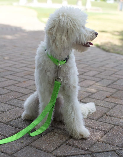 Country Brook Petz - Everyday Nylon Dog Collar and Leash - 10+ Cool Colors (3/4 Inch, Medium, Hot Lime Green)