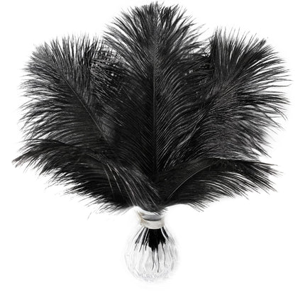 Soarer Black Ostrich Feathers Bulk - 15pcs 10-12 inches for Wedding Party Centerpieces, Home Decorations and DIY Crafts(Black)