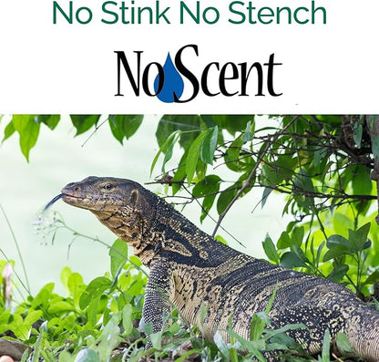 No Scent Reptile Tank Cleaner Spray & Pet Odor Management for Bearded Dragon, Turtle, Lizard Terrarium Freshener (8 Fl Oz / 237 mL)
