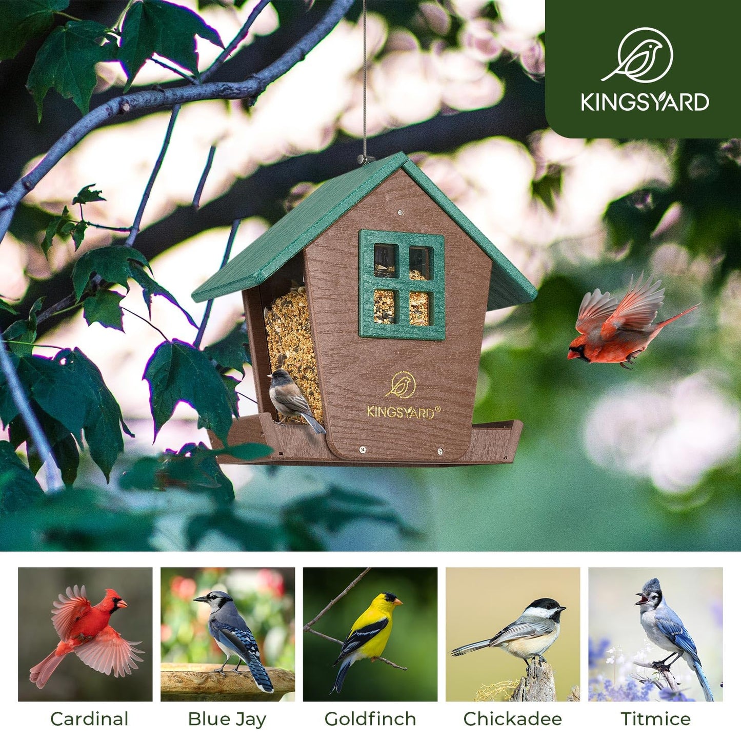 Kingsyard 4 lbs Large Bird Feeder House for Outdoors Hanging, Recycled Plastic Bird Feeder Hopper with Weatherproof Roof & Capacity Tray for Cardinal Bluebird, Garden Yard Outside Decor, Green