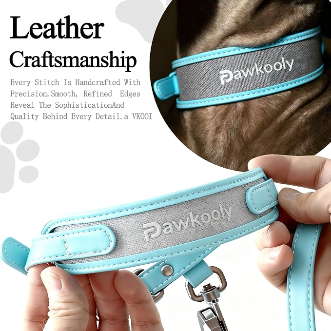 MagEase Dog Collar with 4FT Leash | Adjustable | Anti-Wrinkle, Bite & Stain-Resistant Leather | Soft & Skin-Friendly | 450LB Escape-Proof Magnetic Buckle (Light Blue, Small)