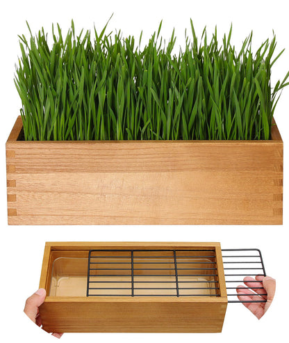 BENPIN Wooden Cat Grass Planter (no Seeds Included) with Potting Soil Disks, Anti-Digging Grid and Removable Plastic Liner, Wheat Grass Growing Pot, Cat Grass Kit for Indoor Cats Pets (Aged Yellow)