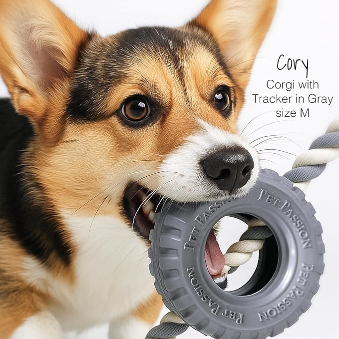 Pet Passion Natural Rubber Tire and Organic Cotton Rope Pull and Chew Dog Toy for All Pet Breeds, Blush, Small