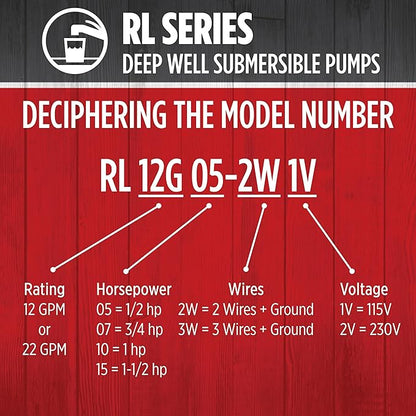 Red Lion RL12G10-3W2V 4-inch Submersible Deep Well Pump with Control Box, 1 HP, 12 GPM, 3-Wire, 230 Volt, Steel, 14942407
