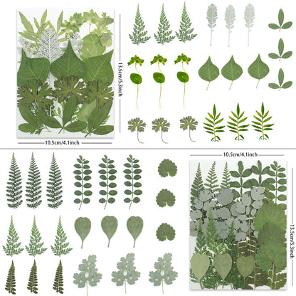 LUXEEASE 84P Dried Pressed Flowers and Leaves Kit - Natural Earthy Green Leaves, Ferns & Eucalyptus for Resin Art, Scrapbooking, Soap Making, Candle Making, DIY Gifts - Tweezers Included