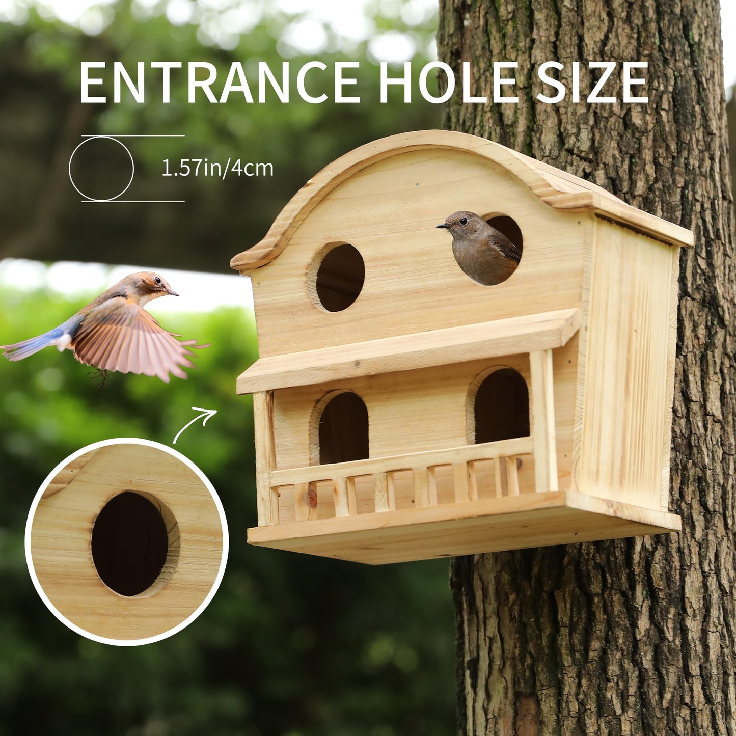 Bird Houses for Outside, 4 Hole Wooden Birdhouse for Outdoor Large Hanging Bird House Backyard Birding & Wildlife Humming Bird Houses (Four Hole)
