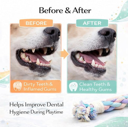 Dog Rope Toy – Eco-Friendly Durable Cotton Dog Chew Toy for Aggressive Chewers & Puppies – Interactive Molar Teeth Cleaning, Perfect for Small & Medium Dogs (10in), Safe, Non-Toxic, Fun Play
