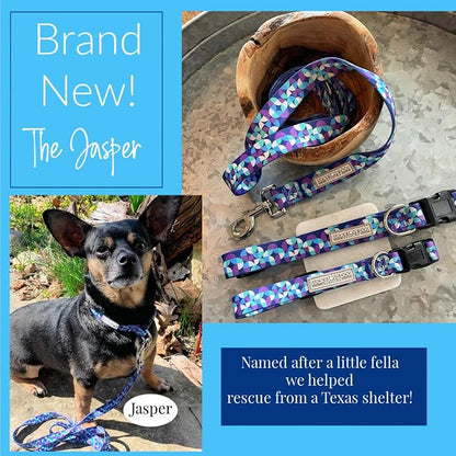 Lucky Love Dog Martingale Dog Collar & Leash - Adjustable, No-Slip, Durable, Comfortable, Soft Webbing, & Stylish Patterned Collar & Leash Set for Male and Female Dogs - Jasper Combo, Large