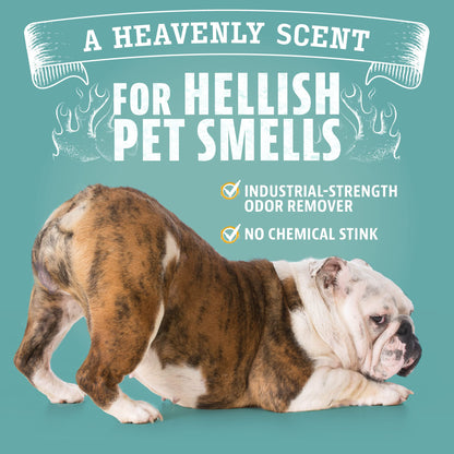 ANGRY ORANGE Pet Odor Eliminator Kit for Dog Urine - Citrus - 24 oz + UV Flashlight