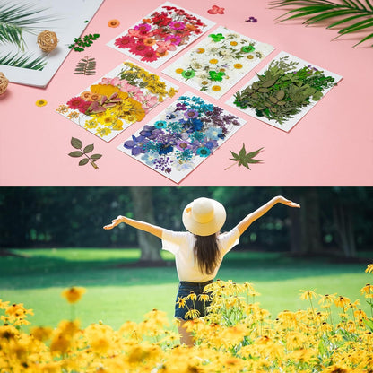 Dried Pressed Flowers, 170+ Pcs Mixed Dried Flowers for Resin, Bulk Natural Dry Floral Resin Fillers Decoration Accessories for DIY Crafts, Scrapbooking
