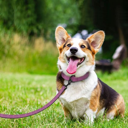 Didog Soft Padded Leather Dog Collar and Leash Set, Heavy Duty Dog Leash and Collar Set with Metal Buckle, Breathable Dog Collars with 4FT Leather Dog Leash for Small Medium Large Dogs, Purple, XL