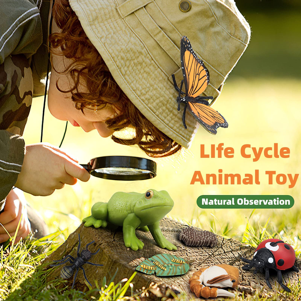 MIKNEKE Montessori Life Cycle Animal Figures with Flash Cards, Realistic Animal Figurines Toy, Educational Matching Game for 3+ Year Old Toddlers Kids (Ladybug)