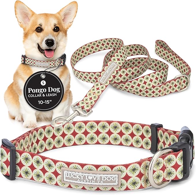 Lucky Love Dog - Easy Click Buckle Dog Collar with Leash Set Combo, Durable & Comfortable for Male & Female Dogs, Pet Collar for Small Dogs, Secure Fit - Pongo Combo, Small