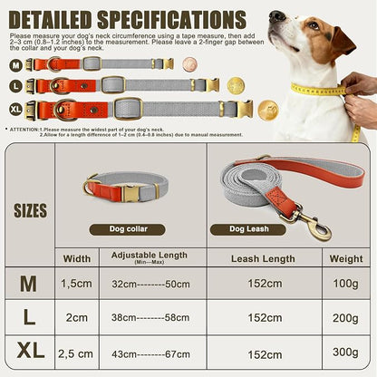Dog Collar and Leash Set with Metal Quick Release Buckle, Adjustable, Breathable Nylon, Durable, Soft and Comfortable, No Pull for Walking and Training, Silver-Gray, M (12.6"-19.6")