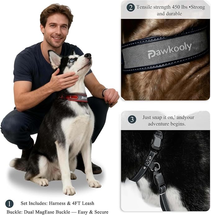 MagEase Dog Collar with 4FT Leash | Adjustable | Anti-Wrinkle, Bite & Stain-Resistant Leather | Soft & Skin-Friendly | 450LB Escape-Proof Magnetic Buckle (Navy Blue, Small)