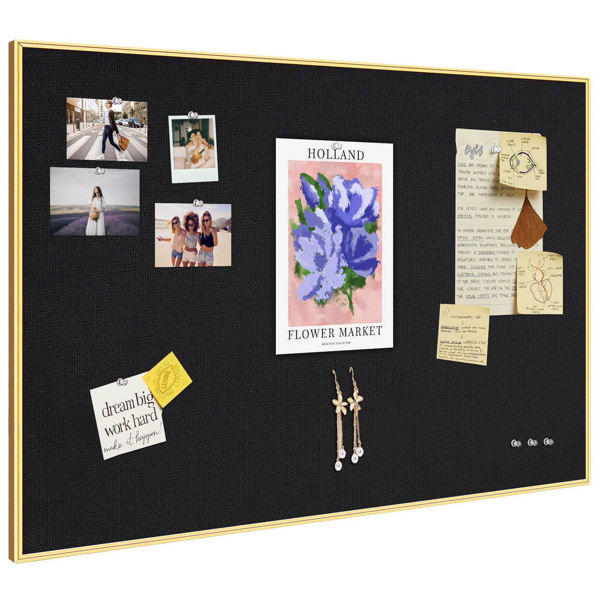 Lightomorrow Bulletin Board 30 x 20 inches, Black Pin Board, Golden Aluminum Framed Fabric Cork Board with 10 Push Pins