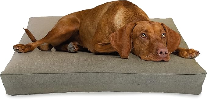 Small - 30 x 20 x 4 - Natural Premium Organic Hemp Dog Bed - CertiPUR Fill - Removeable Cover