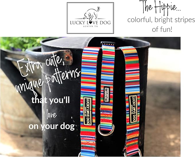 Lucky Love Dog - Easy Click Buckle Dog Collar with Leash Set Combo, Durable & Comfortable for Male & Female Dogs, Pet Collar for Small Dogs, Secure Fit - Hippie Combo, Small