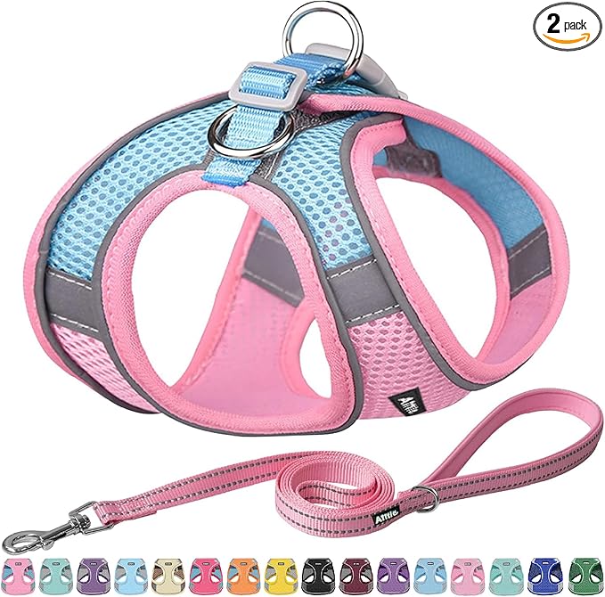 AIITLE Easy Walk Dog Harness and Leash Set - Pet Supply No Pull, Step in Adjustable Dog Harness with Padded Vest, Dog Harness No Choke Over, Easy to Put on Medium Dogs Pink L