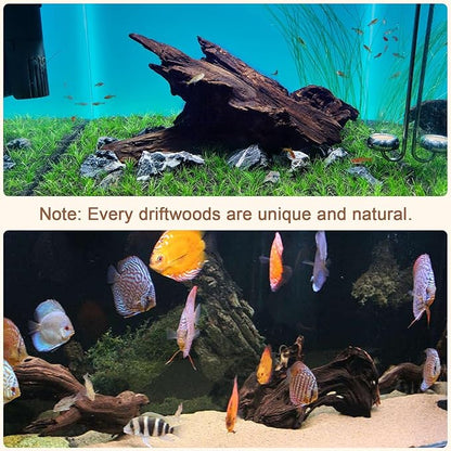 LYPHARD AQUARIUMS Natural Driftwood for Aquarium, 9-15" Large Assorted Branch Decorations for Reptile Hide, Fish Tank, 1 Pcs