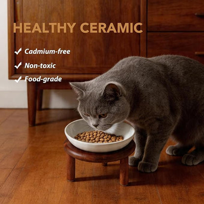 Havniva Elevated Cat Bowls Raised Ceramic Cat Bowl, 5.7” Wide Opening Cat Food Bowl Whisker Friendly Cat Dish Anti-Slip with Wood Stand, Shallow Pet Food & Water Bowl for Indoor Cats