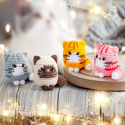 Crochet Kit for Beginners -4 PCS Cat Crochet Kit with Step-by-Step Video Tutorials, Learn to Crochet Kits for Adults, Beginner Crochet Kits for Adults, Animals Cat Crafts Knitting Kit Galentines Gifts