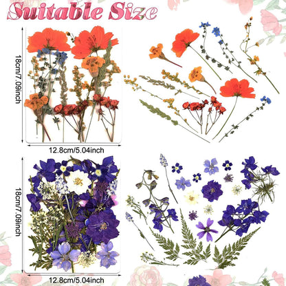 Nuanchu Dried Flower for Crafts Resin Pressed Flowers Bulk Dried Wildflowers Leave Natural with Tweezer for Resin Mold Scrapbooking Nail Soap Candle Making Cake Decorating DIY Christmas Craft Supplies
