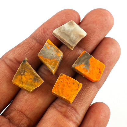 CRYSTALINES 5pcs AAA Grade Natural Raw Bumble Bee Jasper Gemstone, Wholesale Rough Stones, Bulk Loose Supplies, DIY-Jewelry Making, Artisan Crafts, Wire Wrapping, Gem Collection