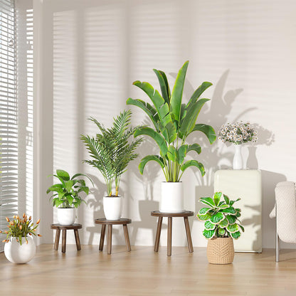 Vecxoty 5-Pack Wood Plant Stands Indoor, Single Plant Stand for 6-12 Inch Pots, Mid-Century Modern Plant Stool, Tall Plant Stand for Large Plants for Living Room, Balcony, Office (Dark Brown)
