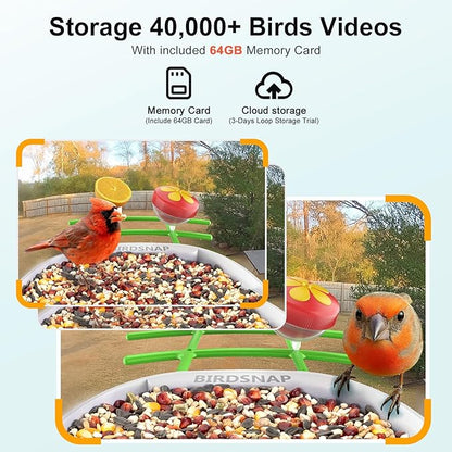 birdsnap® PAV-Bird Feeder with Camera,2K HD with 64GB Card, AI Identify Smart Bird House Cam Solar Panel,Live Stream,Motion Detection,Auto Record Video for Backyard Outdoors,Ideal Gift for Bird Lover