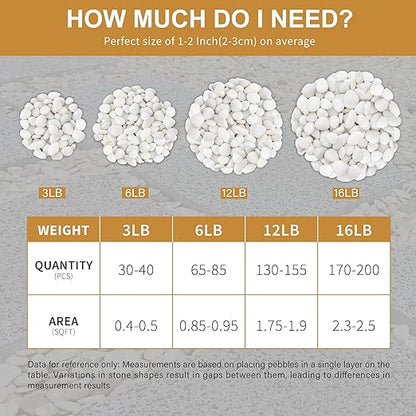 NUPICK 3lb White River Rocks for Plants Indoor, 1-2Inch Pebbles for Vases Fillers, Decorative Gravel for Fish Tank, Natural Polished Stones for Succulent, Bonsai, Landscaping, Bird Baths