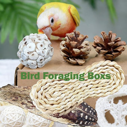 Natural Bird Toys Rattan Bird Foraging Box Parrot Shredding Toys Conure Chewing Toys for Cockatiel Lovebird Parakeet Budgie and Small to Medium Birds (Medium)