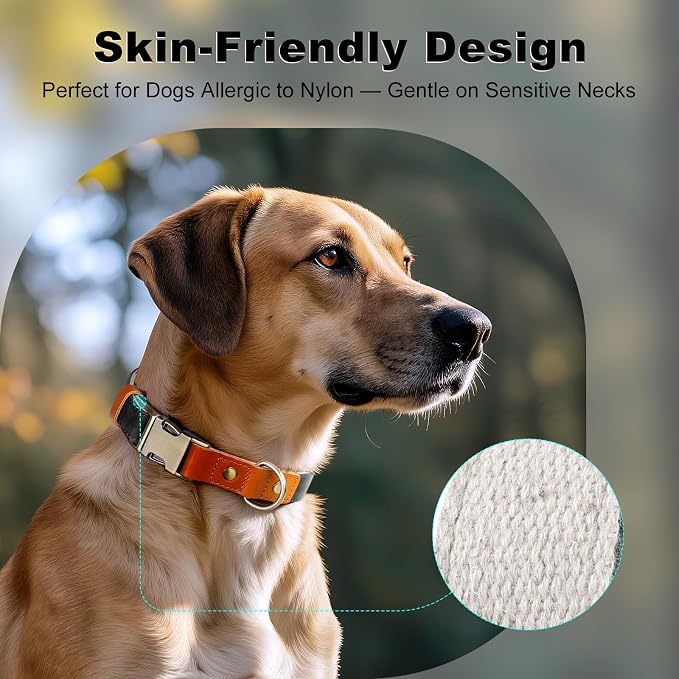 Plutus Pet Genuine Leather & Hemp Dog Collar – Adjustable Heavy Duty Pet Collar with Quick Release Metal Buckle, Soft & Stylish for Puppy and Small, Medium, Large Dogs (Black, XS)
