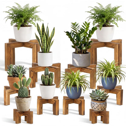 Marsui 10 Pack Wooden Plant Risers for Indoor 5 Sizes Plant Cross Leg Stand Set Carbonized Brown Solid Flower Pot Holders Display Stands for Living Room Balcony Farmhouse Decor (Pots Not Included)