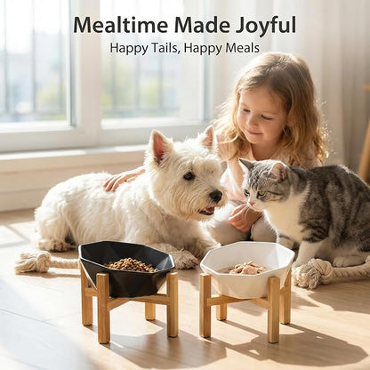 Raised Cat Bowl - Ceramic Tilted Elevated Food Bowl for Indoor Cats & Small Dogs - Shallow Wide Whisker-Friendly Design - Pet Dish Suitable for Feeding Dry, Wet, Treats & Canned Food - Black